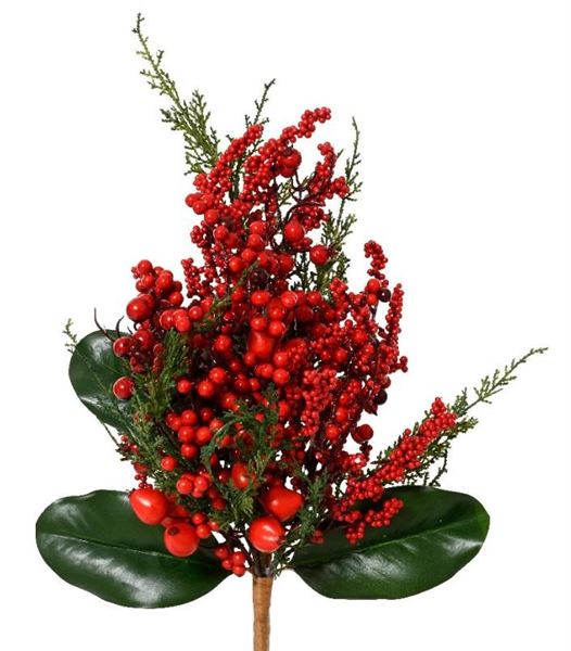 RAMO BACCHE ROSSE GRANDI INDOOR CM.26X50H GREEN/RED