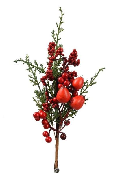 RAMO CLIP BACCHE ROSSE GRANDI INDOOR CM.25H GREEN/RED