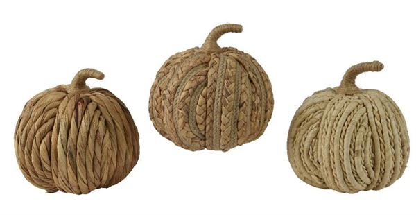 ZUCCA DI GIACINTO D'ACQUA CM.D16X18H NATURALE 3 MOD. ASS.