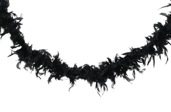 BOA DI PIUME CM.D10X184H BLACK