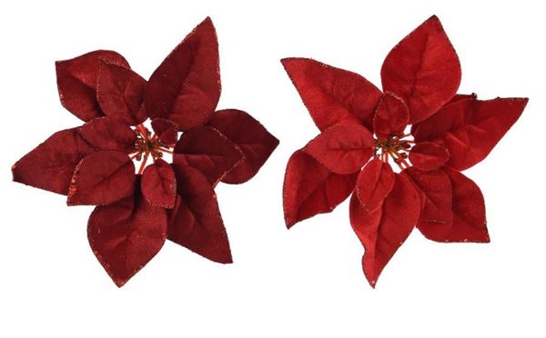 POINSETTIA CLIP VELLUTO GLITTER CM.D28X5H 2 COL. ASS.
