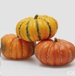 ZUCCA ASS.3 CM.D23XH14