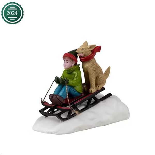 DOGGONE DOWNHILL SLEDDING