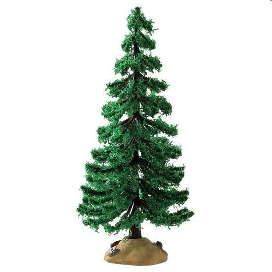 GRAND FIR TREE, MEDIUM