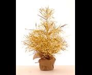 GOLD TREE IN POT 45CM