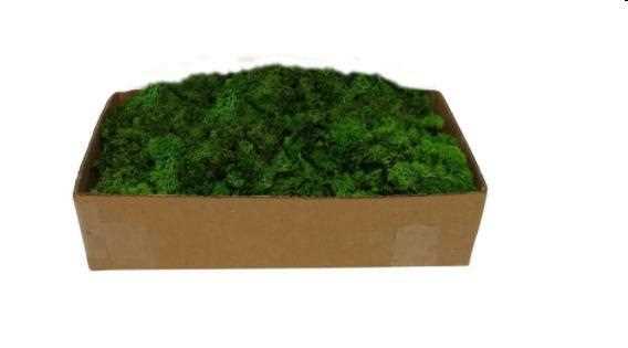MUSCHIO LICHENE VERDE 500GR