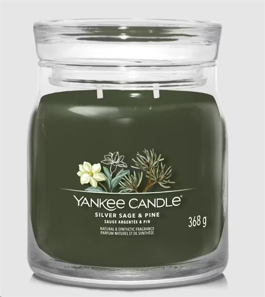 SIGNATURE GIARA MEDIA SILVER SAGE & PINE