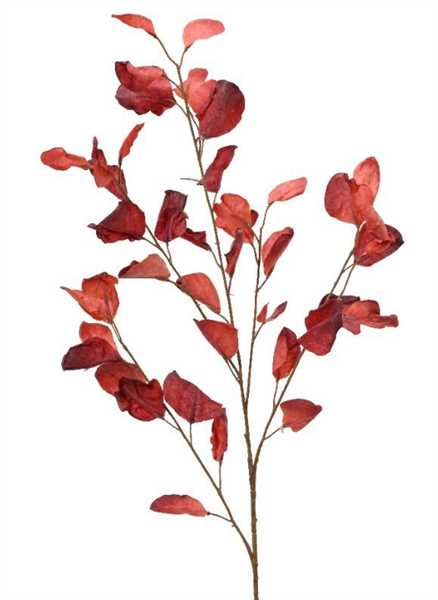 RAMO FOGLIE DRY LOOK CM.25X95H RED