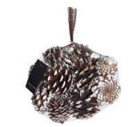 PIGNE NATURALI SBIANCATE 300GR