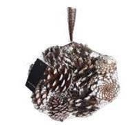 PIGNE NATURALI SBIANCATE 300GR