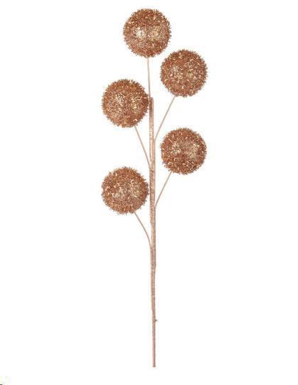 RAMO KELLEY CHAMPAGNE CM.H52