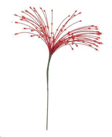 RAMO WADE ROSSO CM.H53