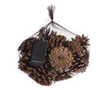 PIGNE NATURALI 300GR