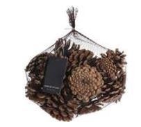 PIGNE NATURALI 300GR