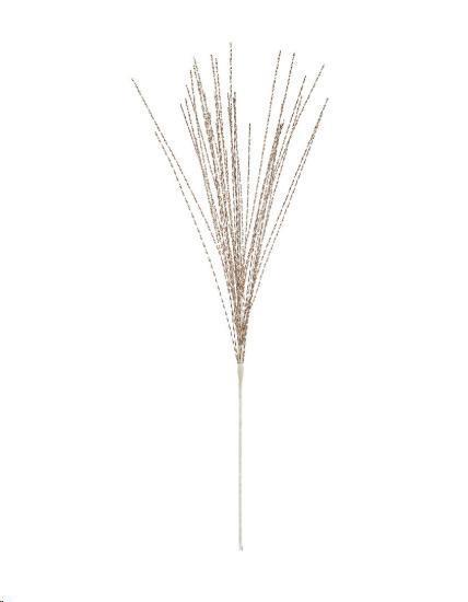 RAMO KALLIOPI CHAMPAGNE CM.H71