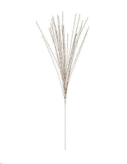 RAMO KALLIOPI CHAMPAGNE CM.H71