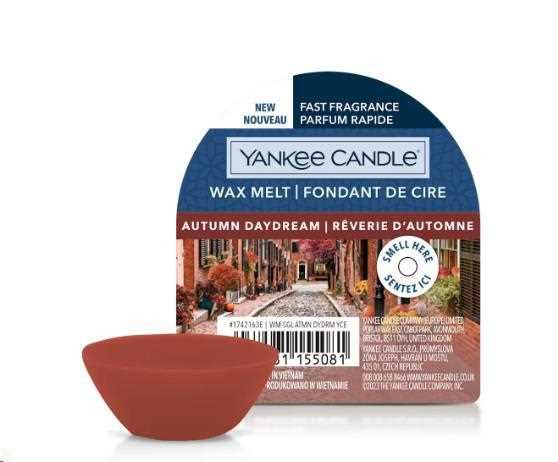 YC WAX MELT SINGLE AUTUMN DAYDREAM