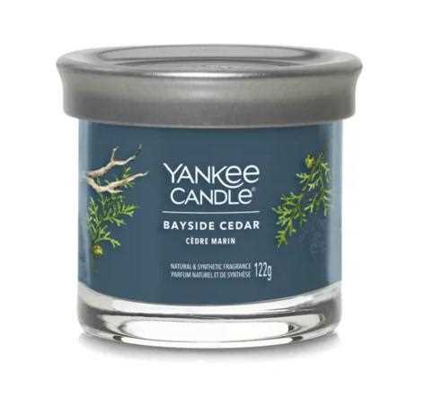 SIGNATURE TUMBLER PICCOLA BAYSIDE CEDAR