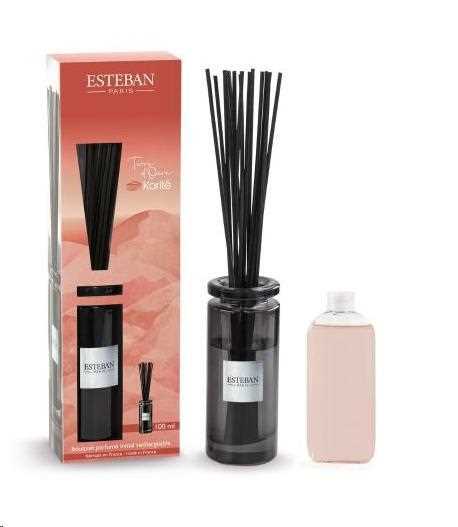 BOUQUET PROFUMATO INITIAL 100ML TERRE D'OCRE KARI