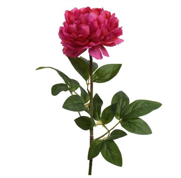 PEONY ON STEM POLY POLY FUCHSIA 34CMX16CMXH.72CM