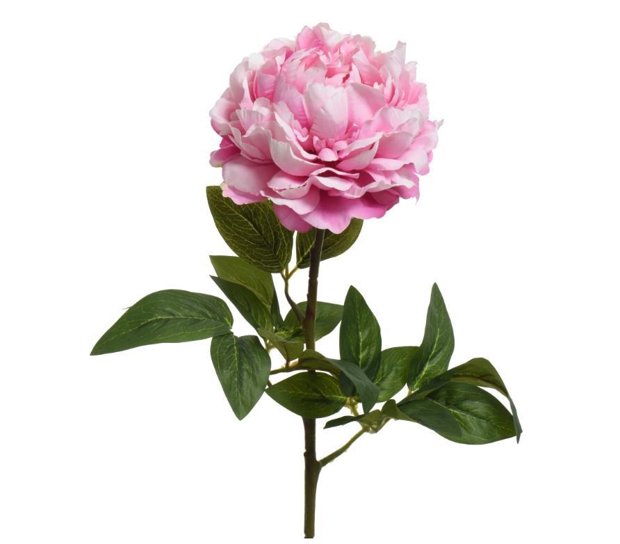 PEONY ON STEM POLY PINK 34CMX16CMXH.72CM