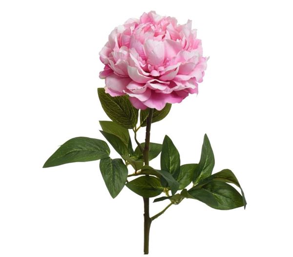 PEONY ON STEM POLY PINK 34CMX16CMXH.72CM