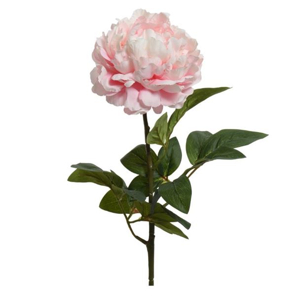 PEONY ON STEM POLY SOFT PINK 34CMX16CMXH.72CM