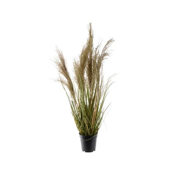 GRASS PLASTICL25 -W25 -H65 CM