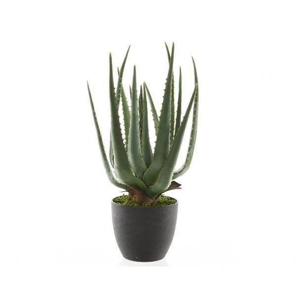 ALOE VERA PLASTICDIA25 -L25 -H40 CM