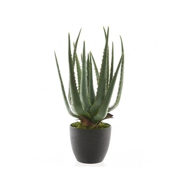 ALOE VERA PLASTICDIA25 -L25 -H40 CM