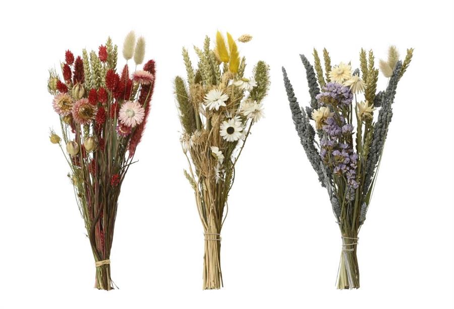 BOUQUET DRIED FLOWER L40.00-W24.00-H10.00CM ASS.