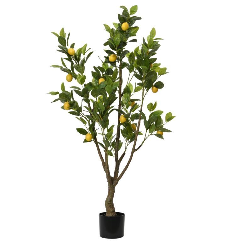 LEMON TREE CITRUS LIMONIA IN POT PE YELLOW/COLOUR 60CMX48CMX