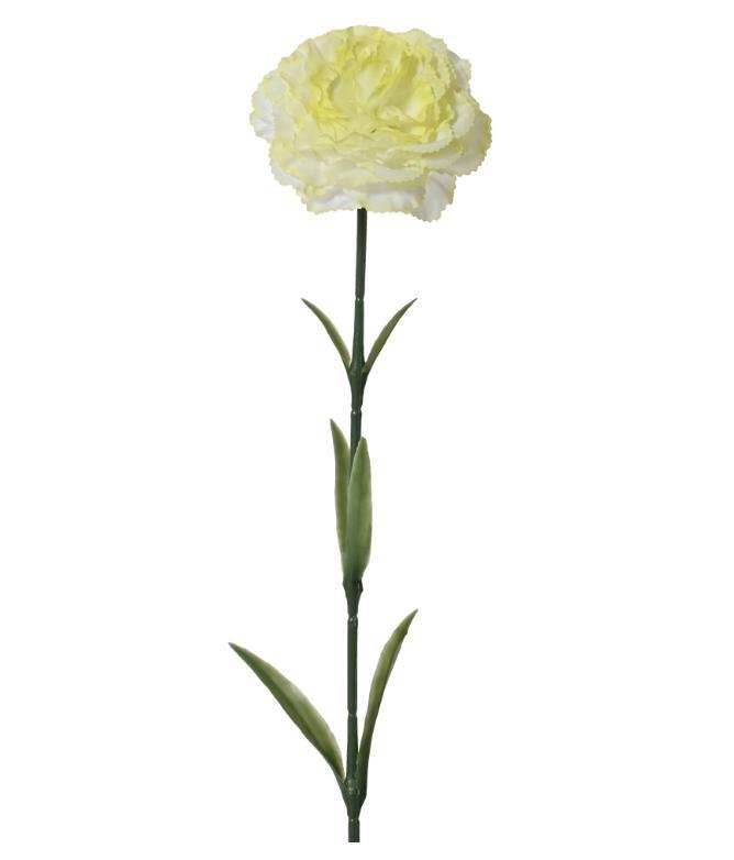 SPRAY CARNATION ON STEM POLY CARNATION WHITE/COLOUR 57CMX9CM