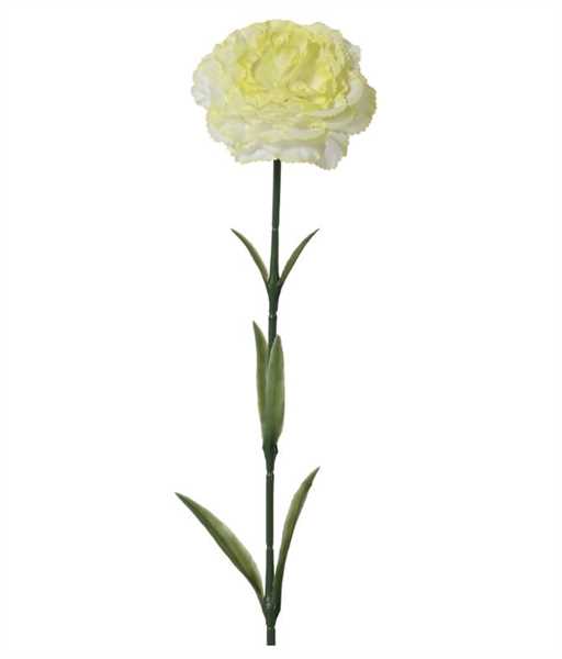 SPRAY CARNATION ON STEM POLY CARNATION WHITE/COLOUR 57CMX9CM