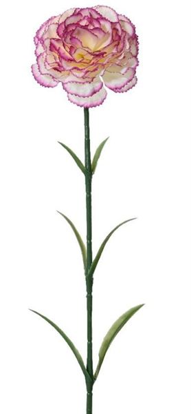 SPRAY CARNATION ON STEM POLYESTER CARNATION PURPLE/COLOUR(S)