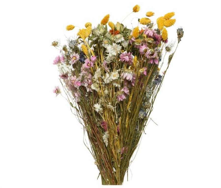 BOUQUET DI FIORI SECCHI CM.55H. MULTICOLOUR