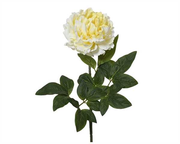 PEONY ON STEM POLY W LEAF SOFT YELLOW 20CMX13CMXH.70CM