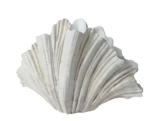 PLANTER POLYRESIN CLAM SHELL OFF-WHITE 31CMX57CMXH.36CM