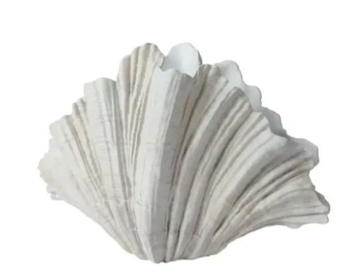 PLANTER POLYRESIN CLAM SHELL OFF-WHITE 31CMX57CMXH.36CM