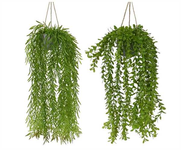 WILLOW IN POT PLASTIC 2ASS GREEN D.14CMXH.66CM