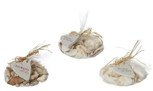 SHELL 3ASS NATURAL 14CMX14CMXH.6CM