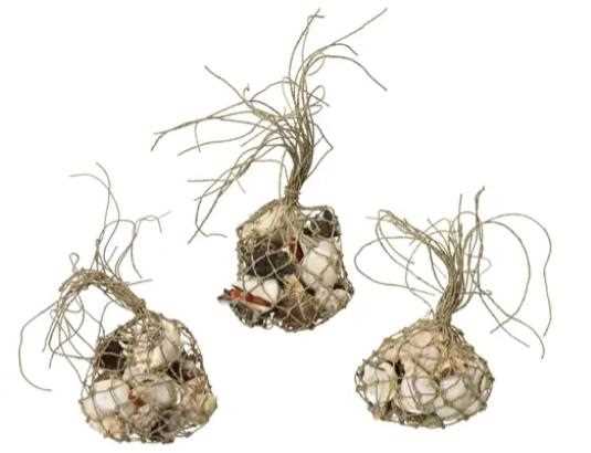 SHELL 3ASS NATURAL 11CMX10CMXH.13CM