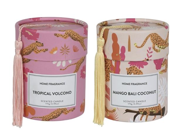 SCENTED CANDLE WAX ROUND 2ASS  D.8.5CMXH.10.5CM