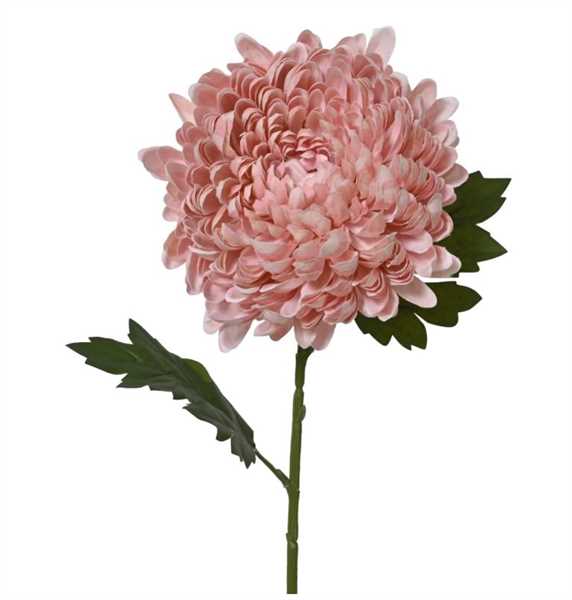 CHRYSANTHEMUM ON STEM POLY STRIPED MUM SPRAY W/2 LEAVES PINK