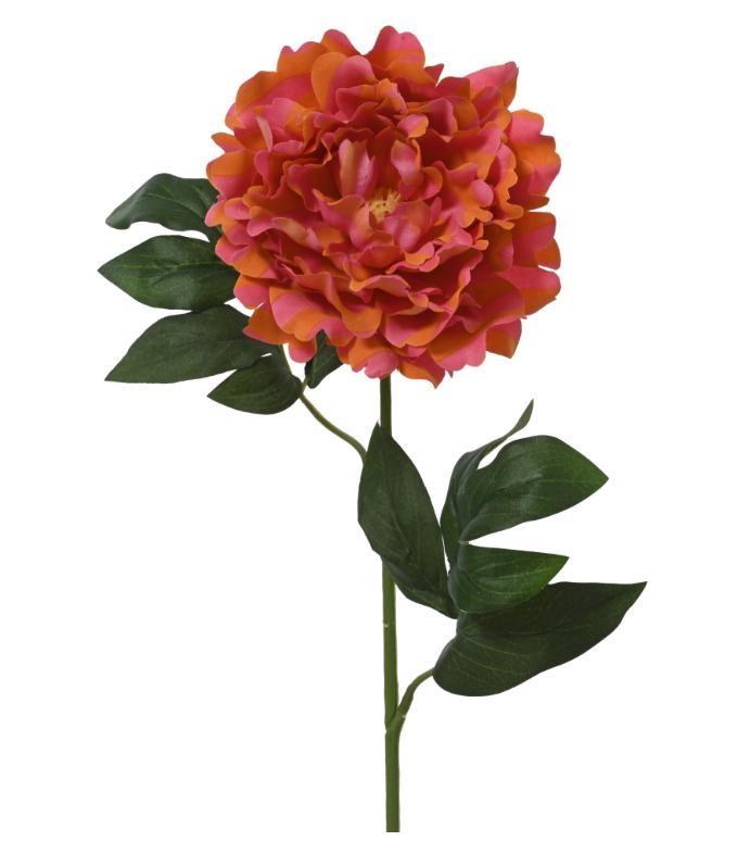 PEONY ON STEM POLY STRIPED W/2 LEAVES CORAL/COLOUR 12CMX23CM