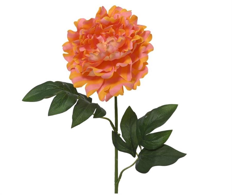 PEONY ON STEM POLY STRIPED W/2 LEAVES PEACH 12CMX23CMXH.66CM