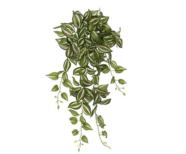 BUSH POLY TRADESCANTIA GREEN/COLOUR 32CMX25CMXH.80CM