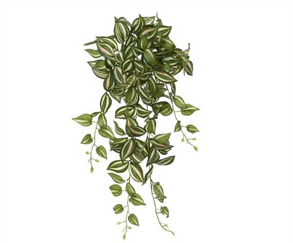 BUSH POLY TRADESCANTIA GREEN/COLOUR 32CMX25CMXH.80CM