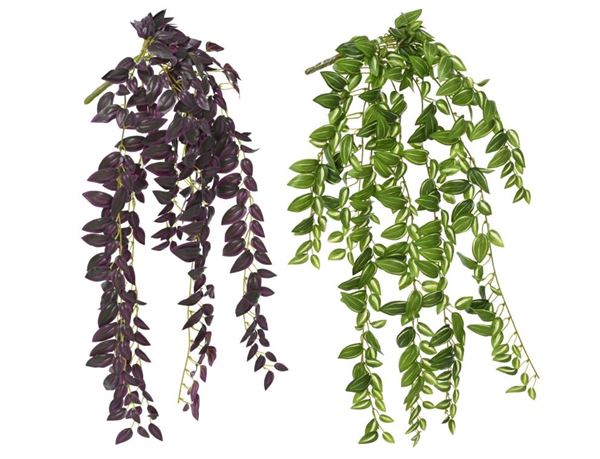 BUSH POLY EYEBROW VINE 2COL ASS 15CMX8CMXH.73CM