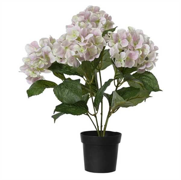 HYDRANGEA  POLY W LEAF IN PLASTIC POT SOFT PINK D.28CMXH.46C